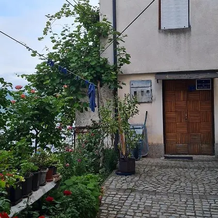 Kovachevi *